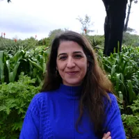 Ana João Santos 